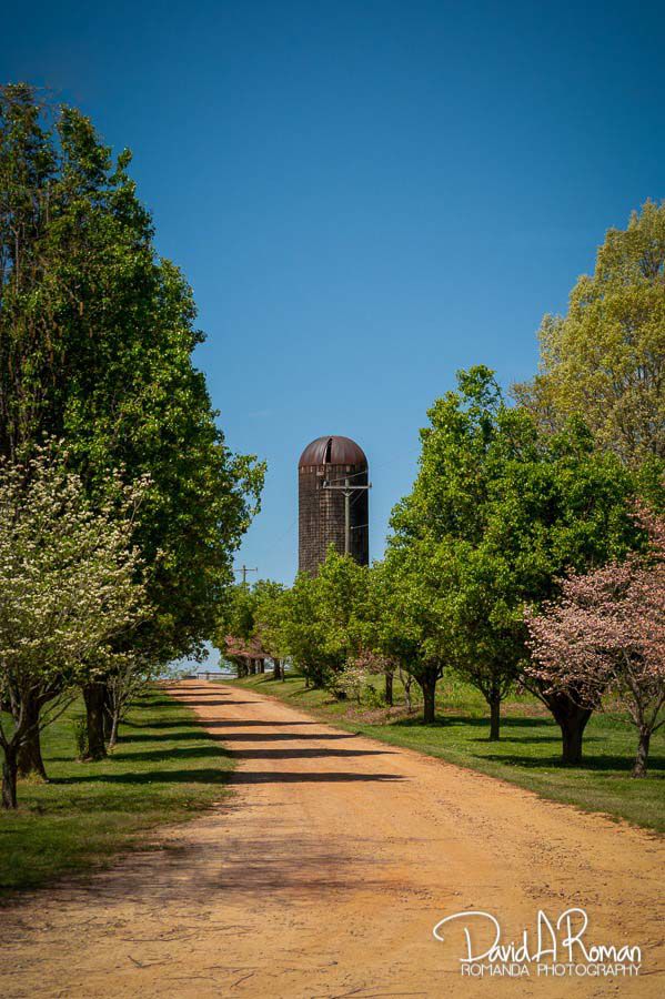 Spring on the farm